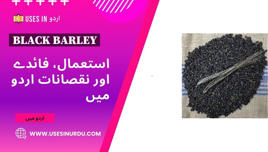 Black Barley