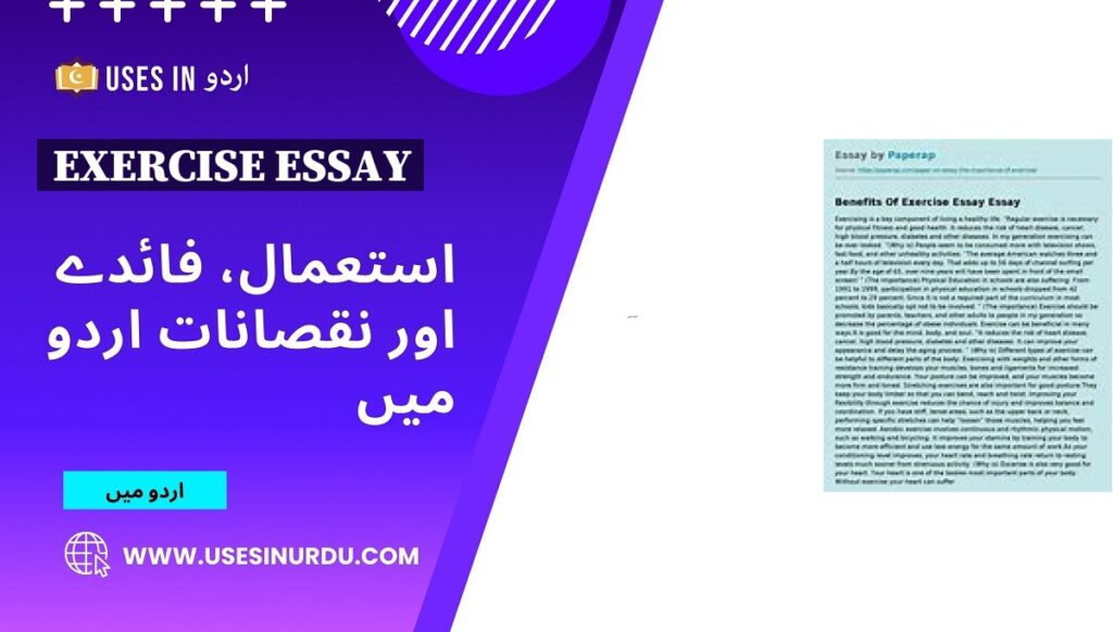 Exercise Essay