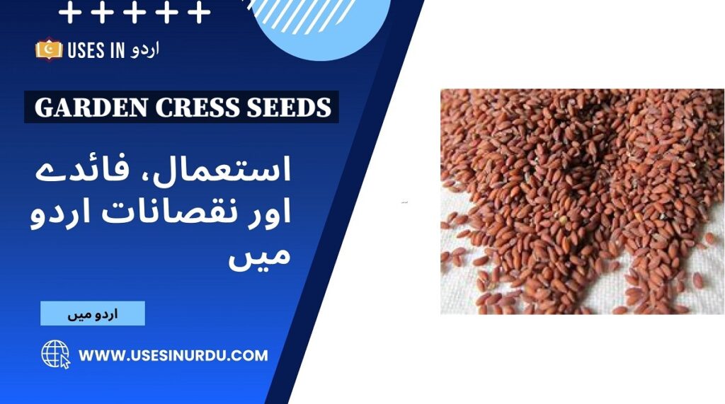 Garden Cress Seeds