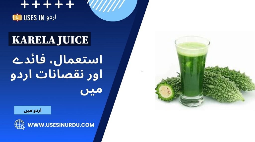 Karela Juice