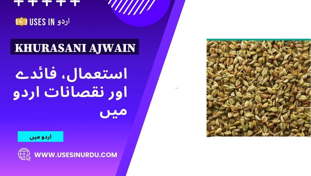 Khurasani Ajwain