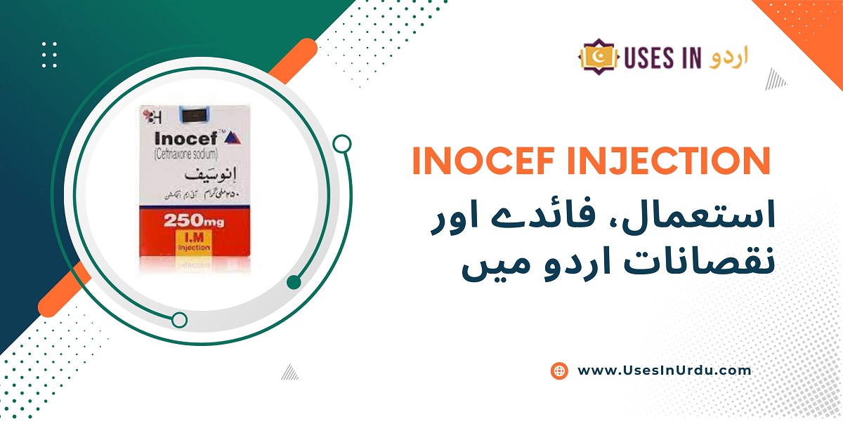 inocef injection uses in urdu