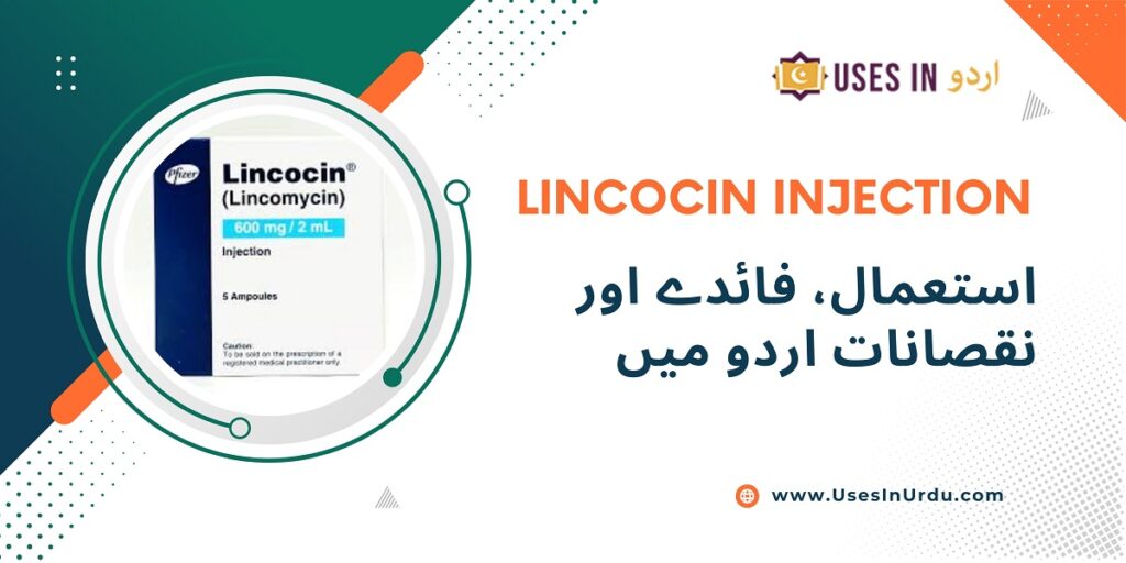 lincocin injection uses in urdu