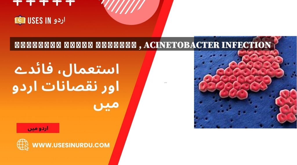 ایکینیٹو بیکٹر انفیکشن , Acinetobacter Infection