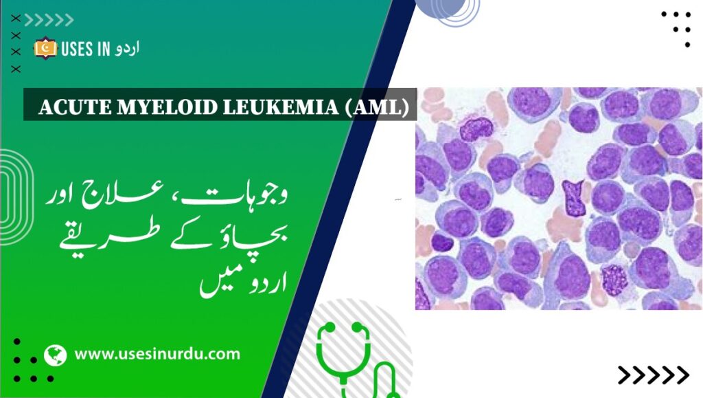 Acute Myeloid Leukemia (AML)