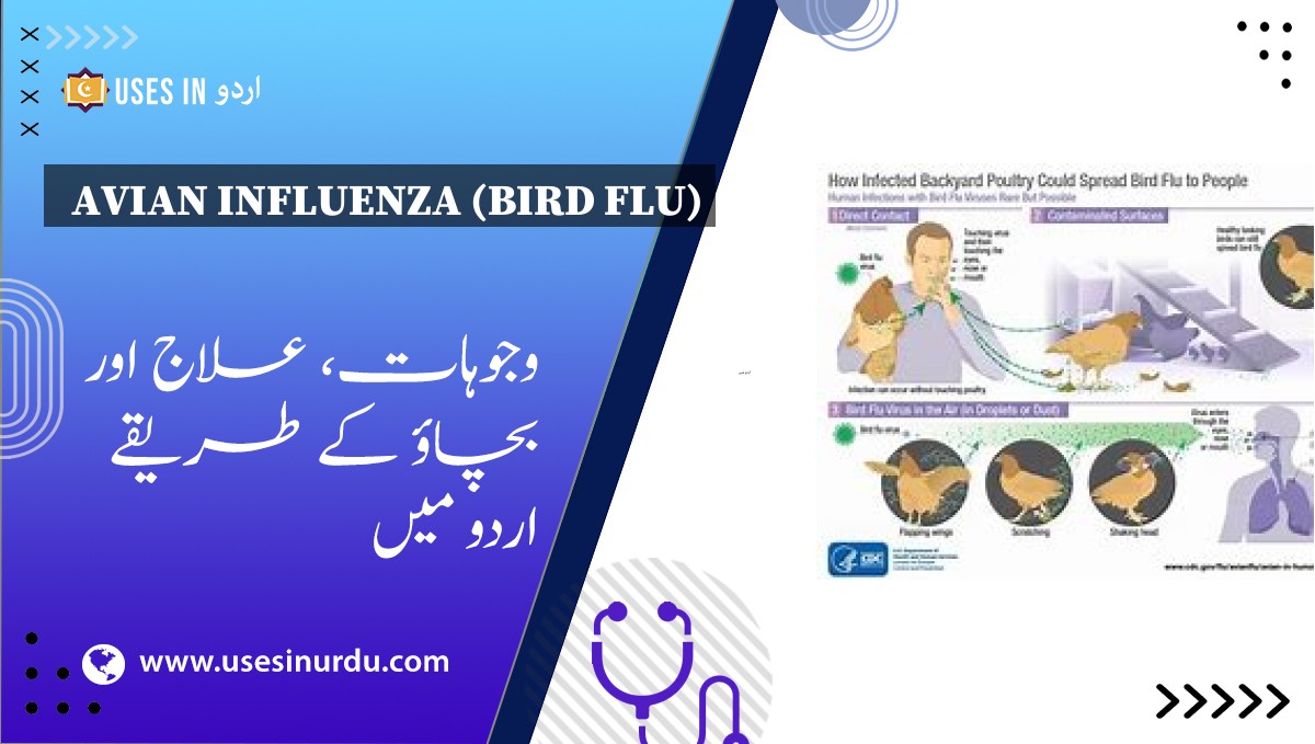 Avian Influenza (Bird Flu)