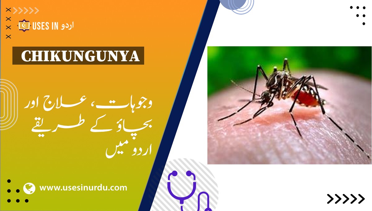 Chikungunya