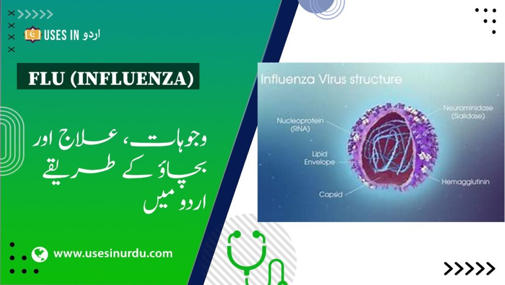 Flu (Influenza)