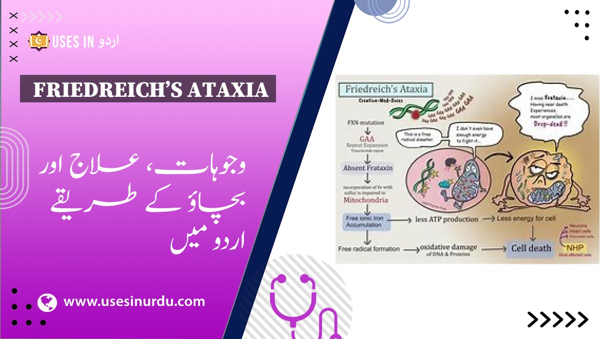 Friedreich’s Ataxia