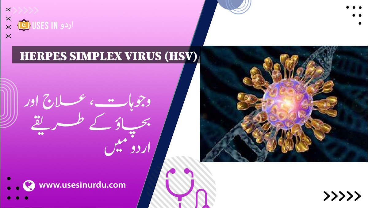 Herpes Simplex Virus (HSV)