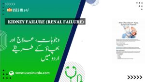 Kidney Failure (Renal Failure)