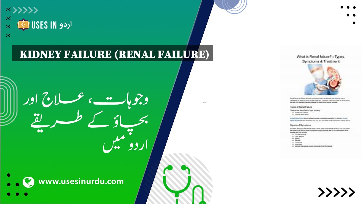 Kidney Failure (Renal Failure)