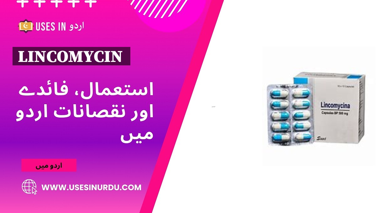 Lincomycin