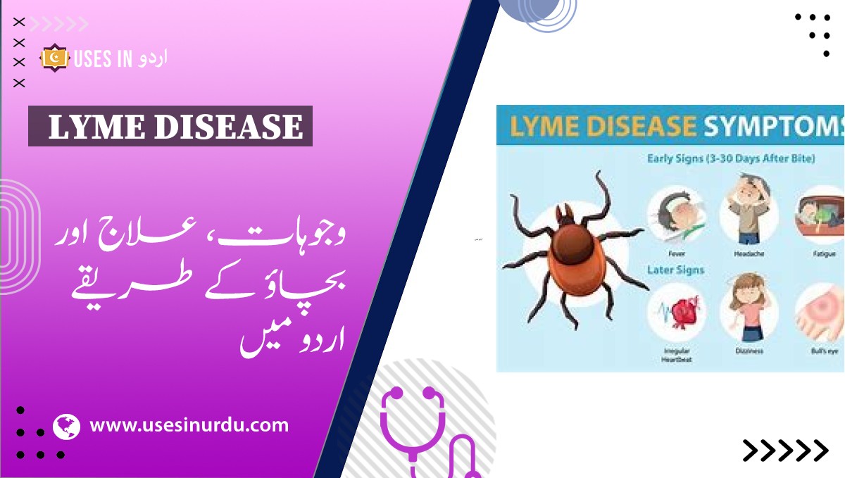 Lyme Disease