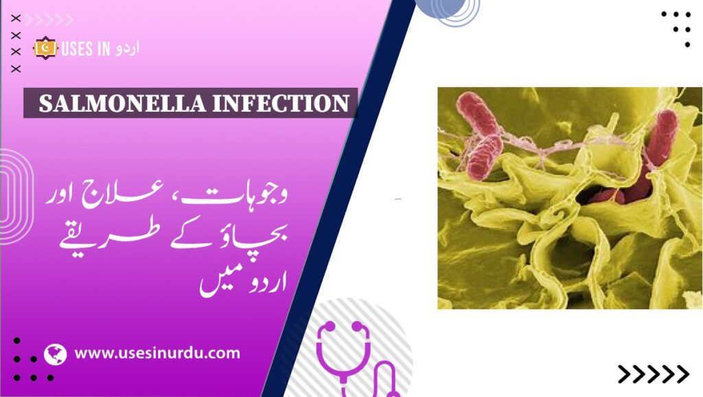 Salmonella Infection