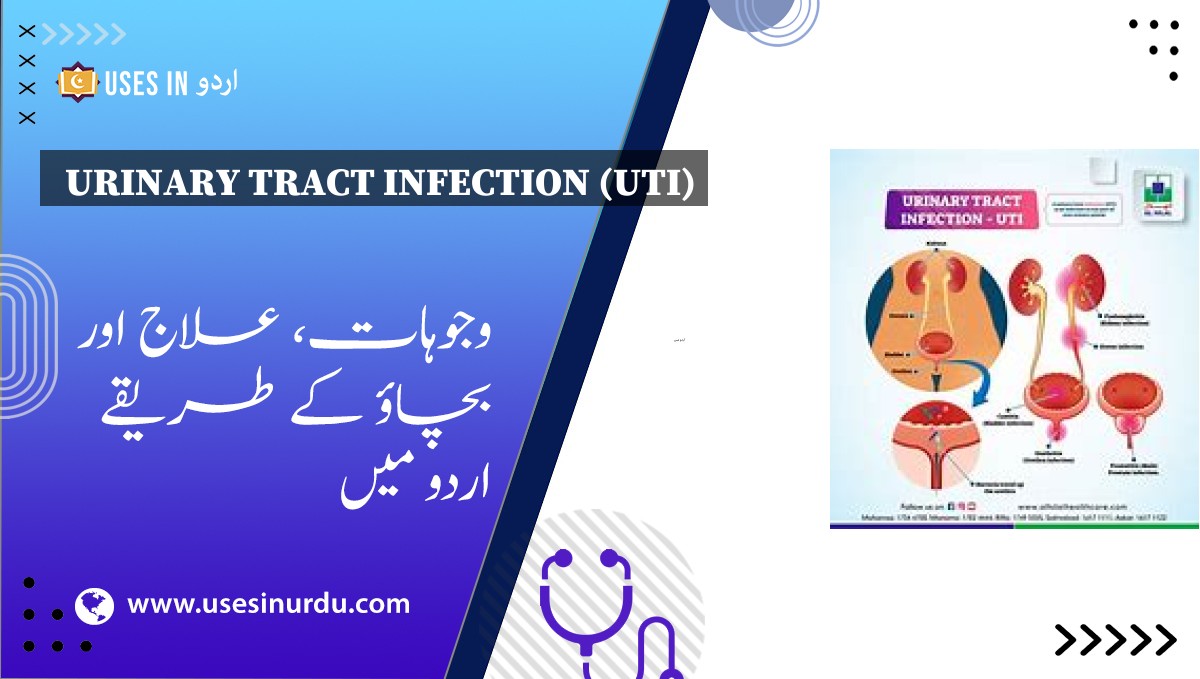 Urinary Tract Infection (UTI)