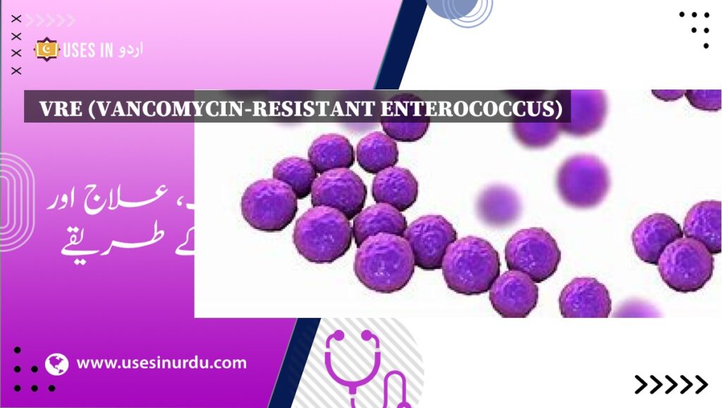 VRE (Vancomycin-Resistant Enterococcus)