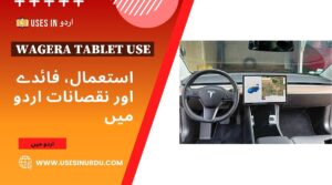 Wagera Tablet Use