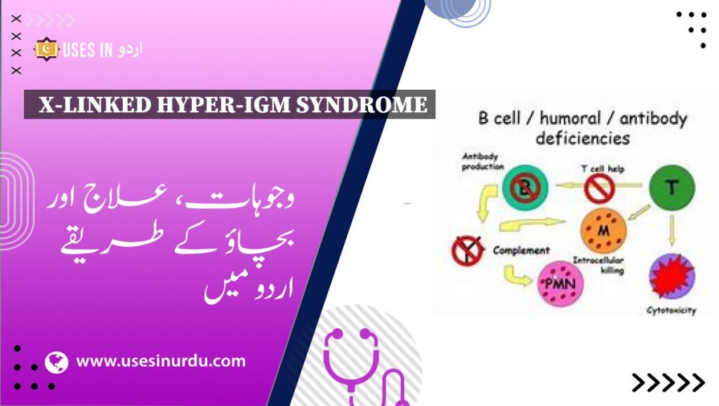 X-Linked Hyper-IgM Syndrome