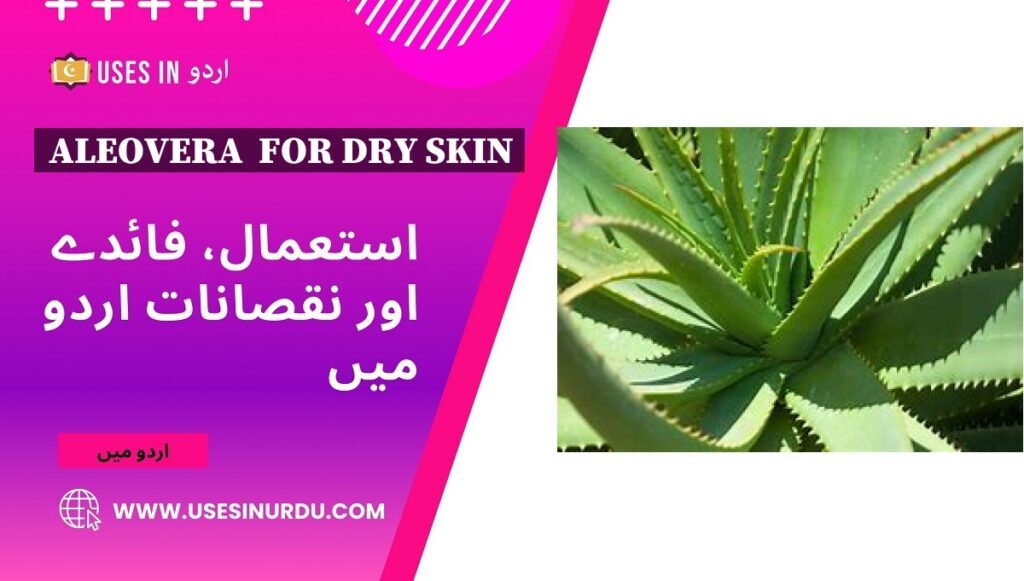 Aleovera  for Dry Skin