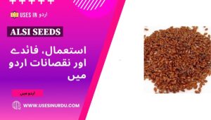 Alsi Seeds