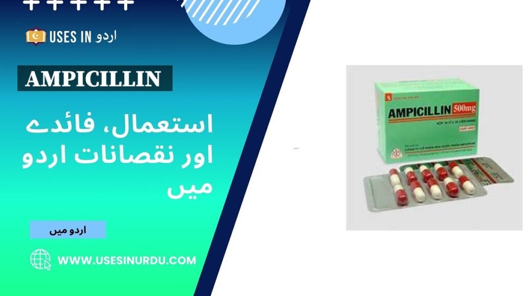 Ampicillin