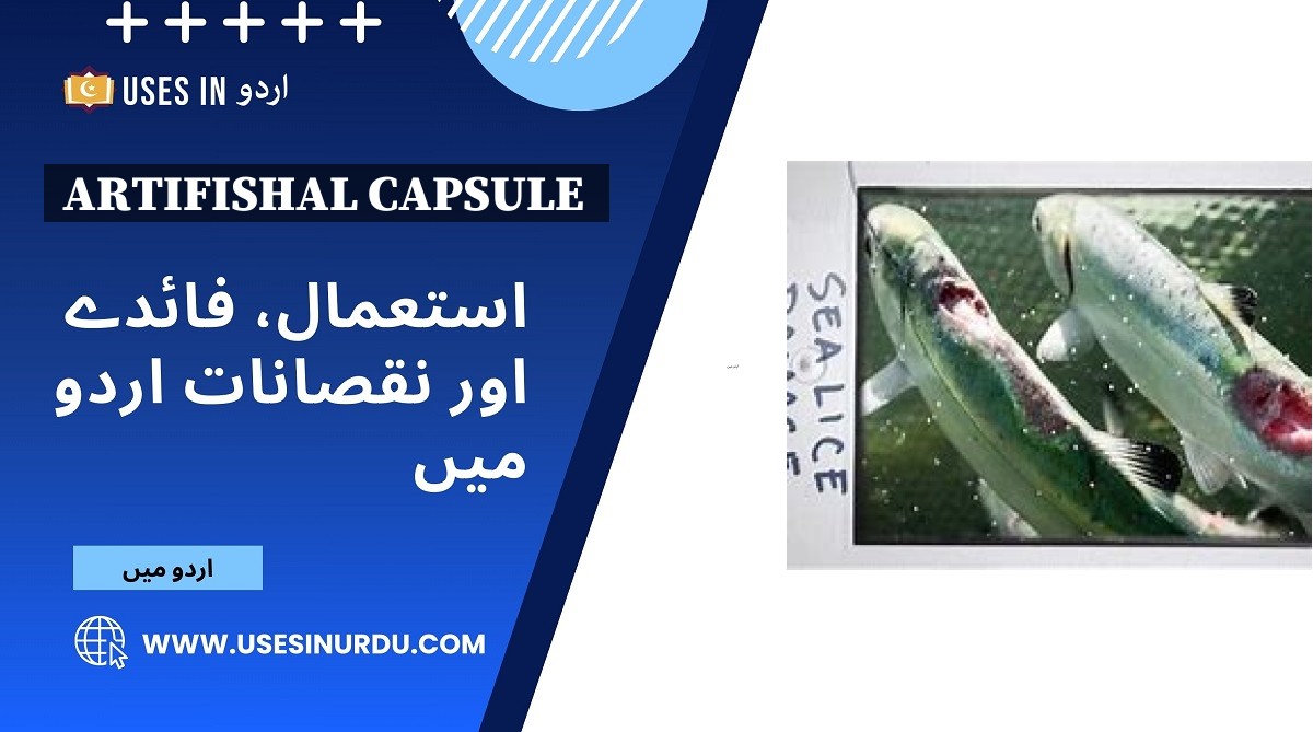 Artifishal Capsule