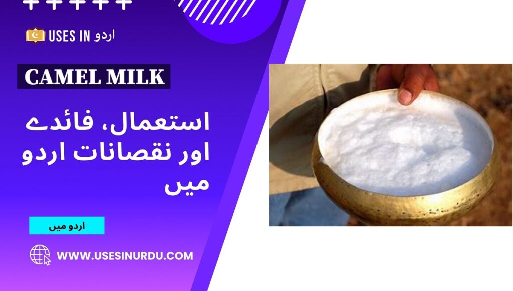 Camel Milk