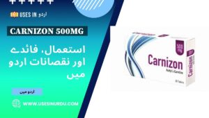 Carnizon 500mg