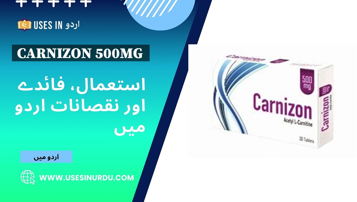 Carnizon 500mg