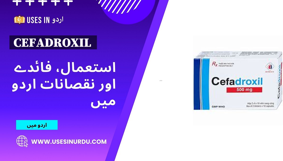 Cefadroxil