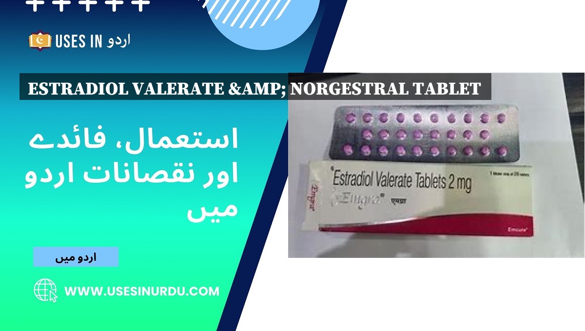 Estradiol Valerate & Norgestral Tablet