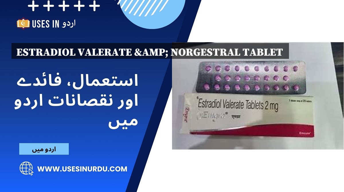 Estradiol Valerate & Norgestral Tablet