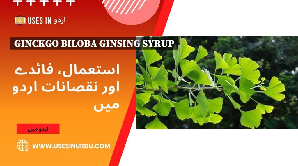 Ginckgo Biloba Ginsing Syrup