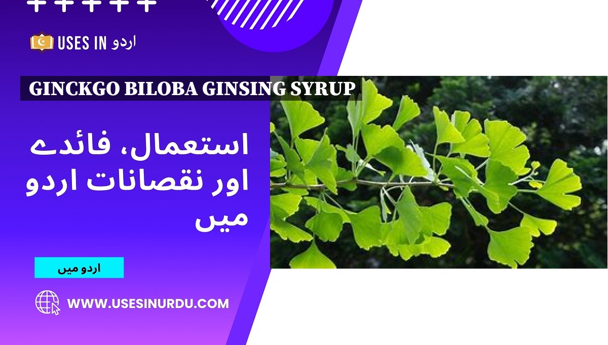 Ginckgo Biloba Ginsing Syrup