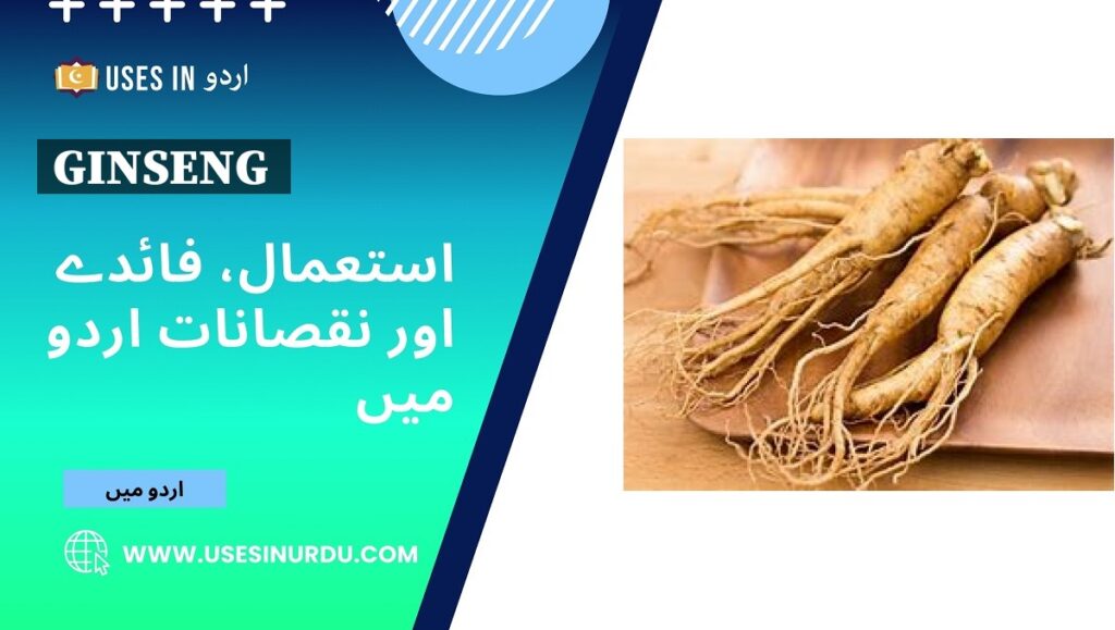 Ginseng