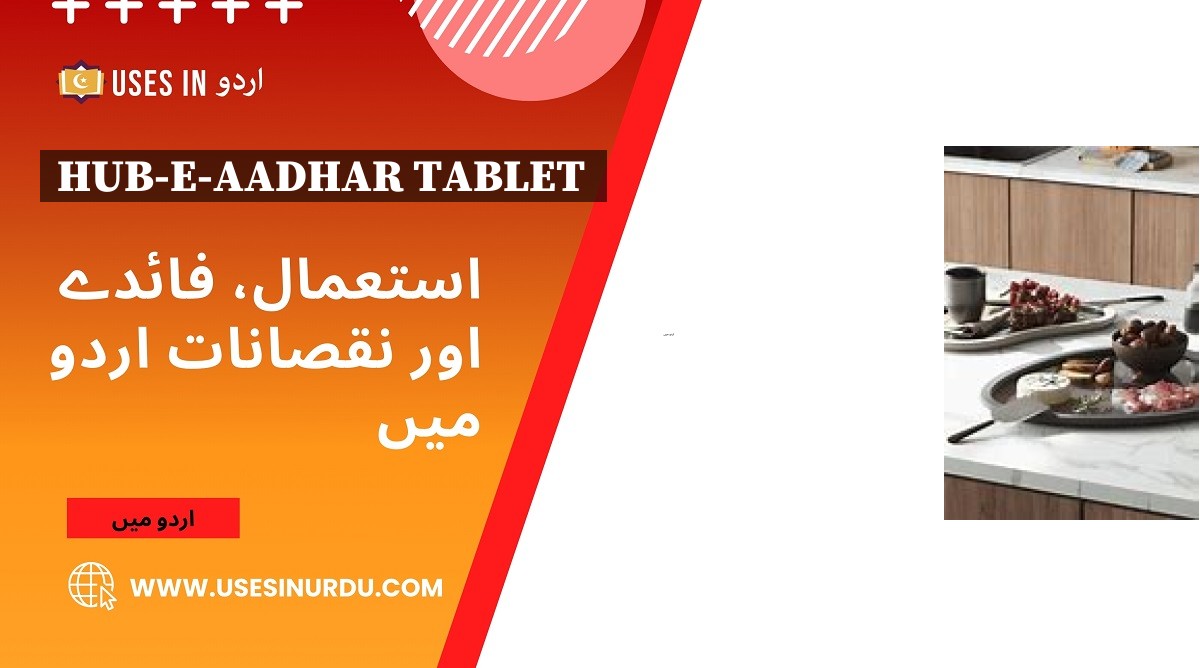 Hub-e-aadhar Tablet