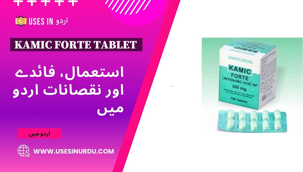 Kamic Forte Tablet