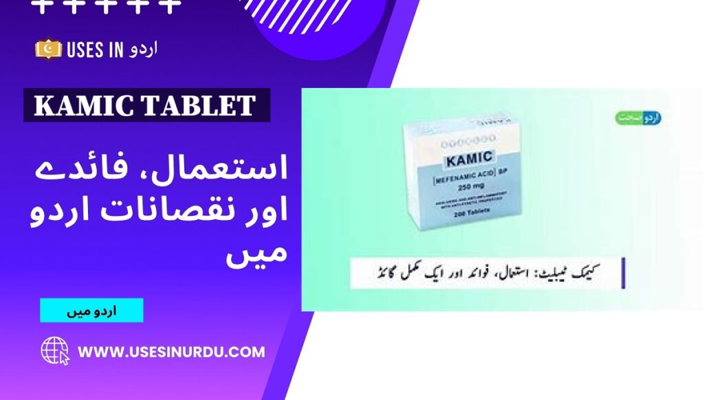 Kamic Tablet