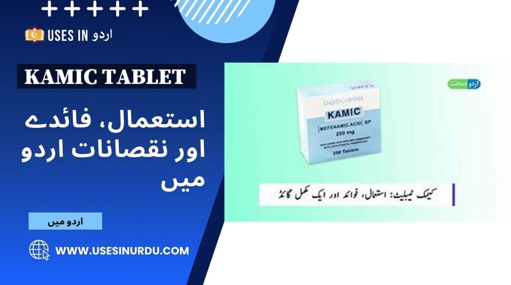 Kamic Tablet