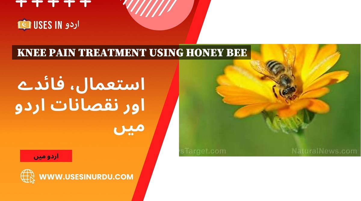 Knee Pain Treatment Using Honey Bee