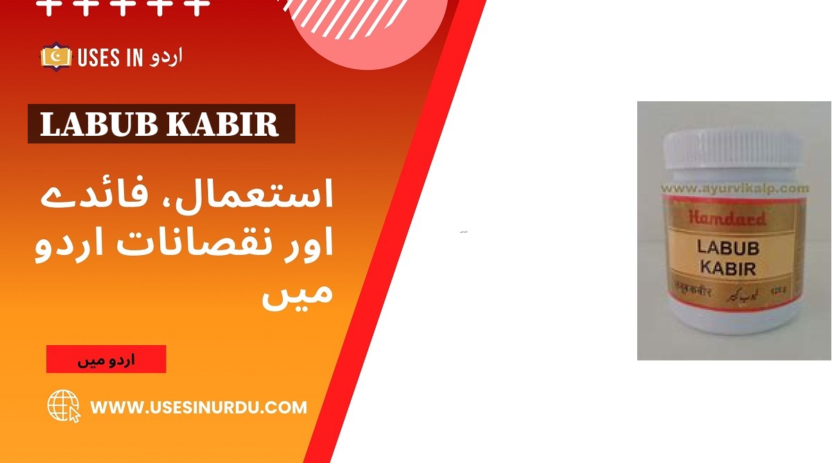 Labub Kabir