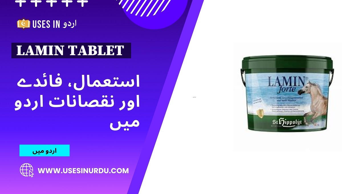 Lamin Tablet