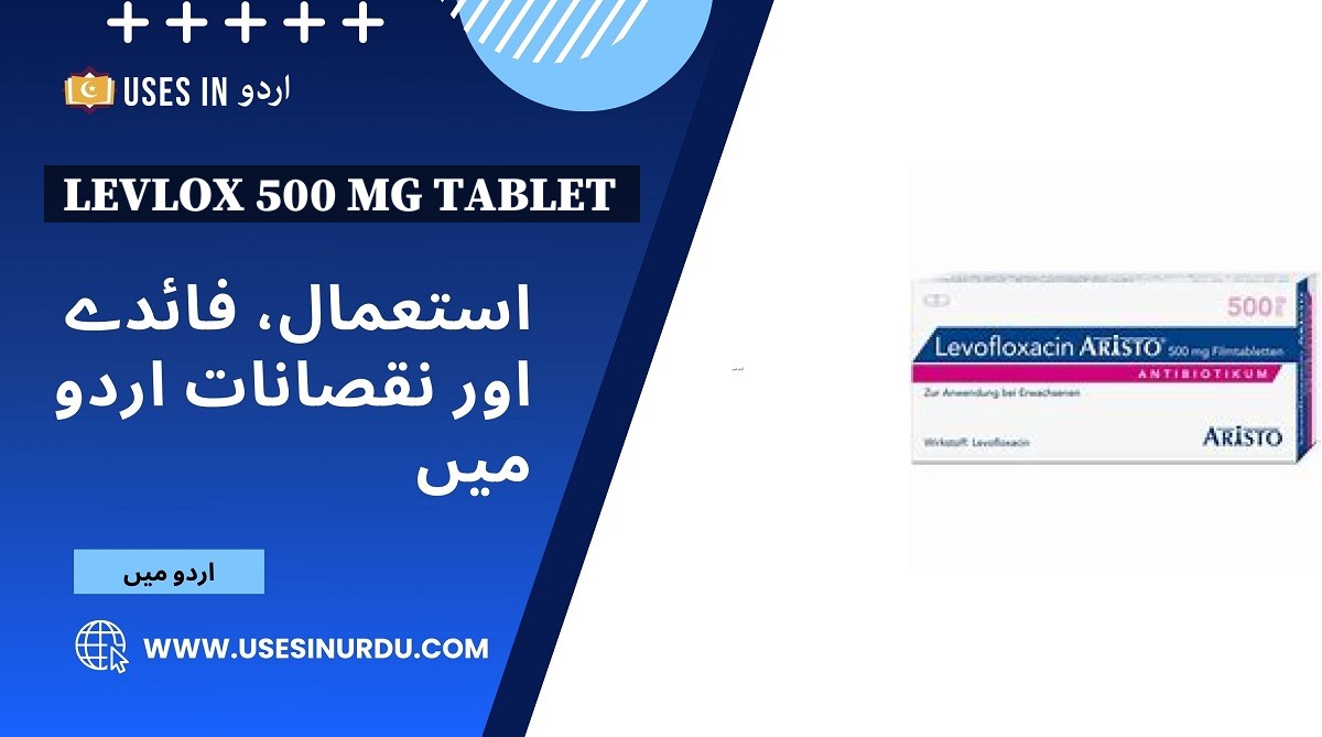 Levlox 500 Mg Tablet