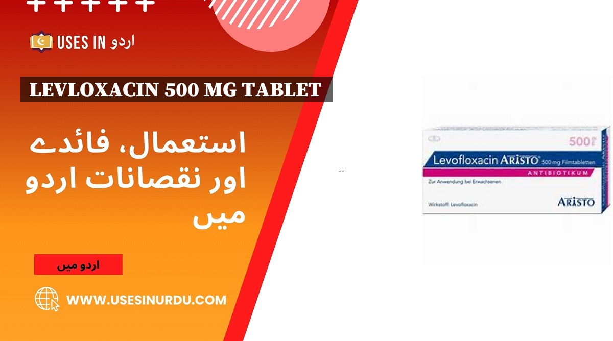 Levloxacin 500 Mg Tablet