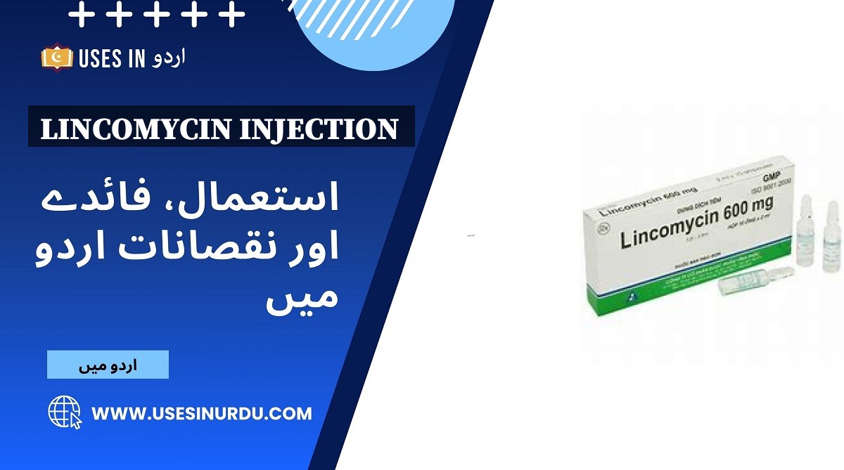 Lincomycin Injection