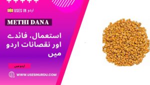Methi Dana