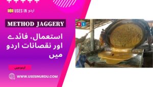 Method  Jaggery