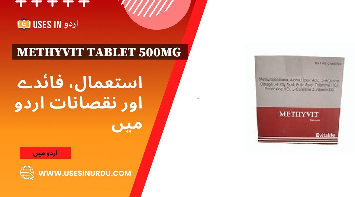 Methyvit Tablet 500mg