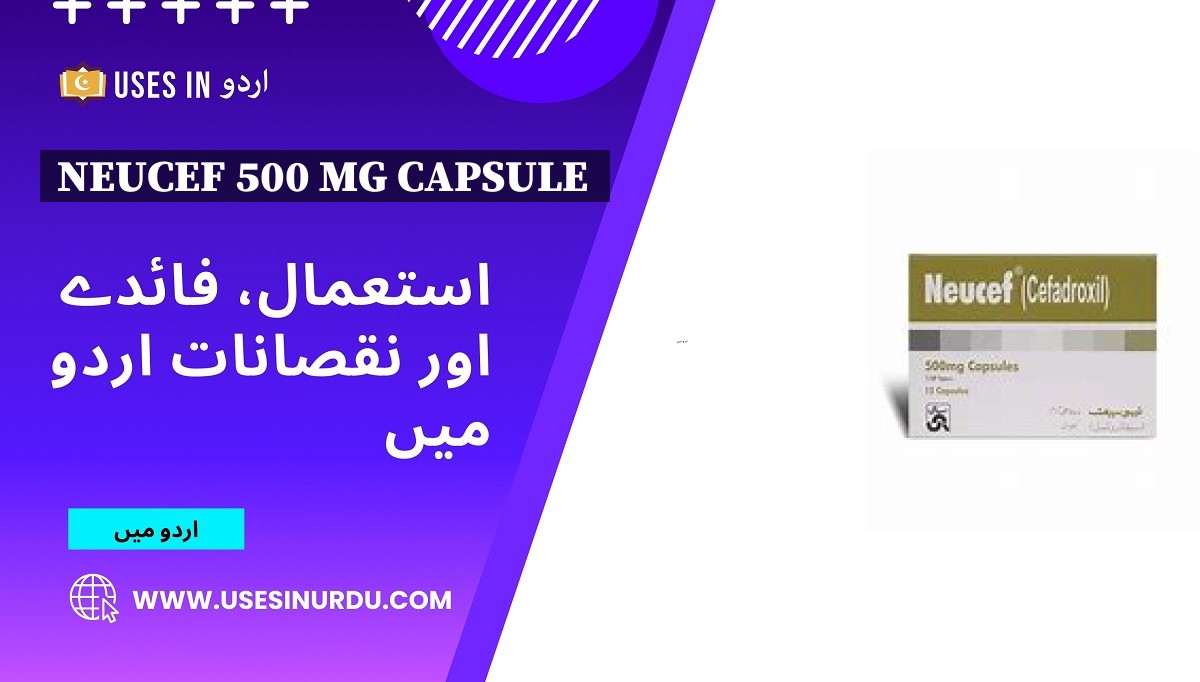 Neucef 500 Mg Capsule